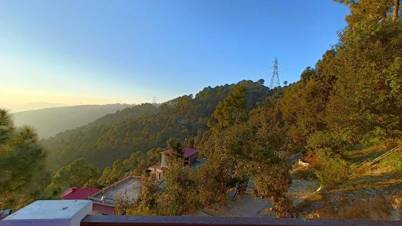 view