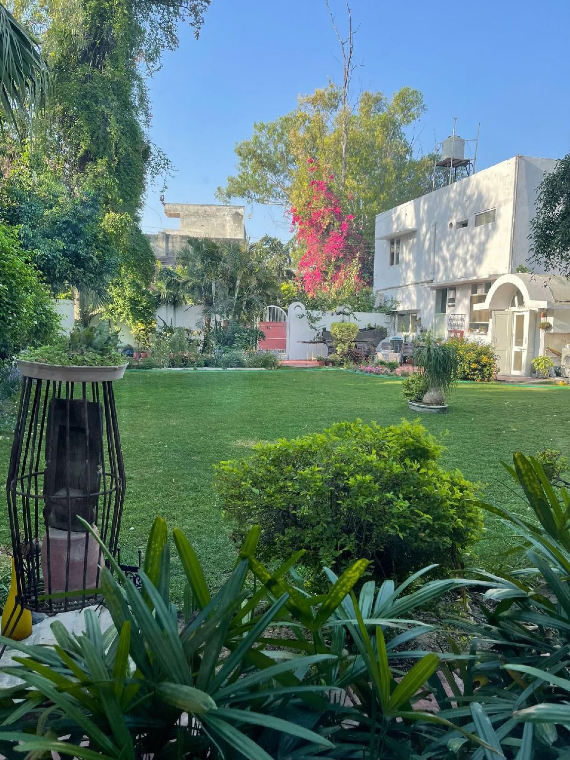 surrounding environment