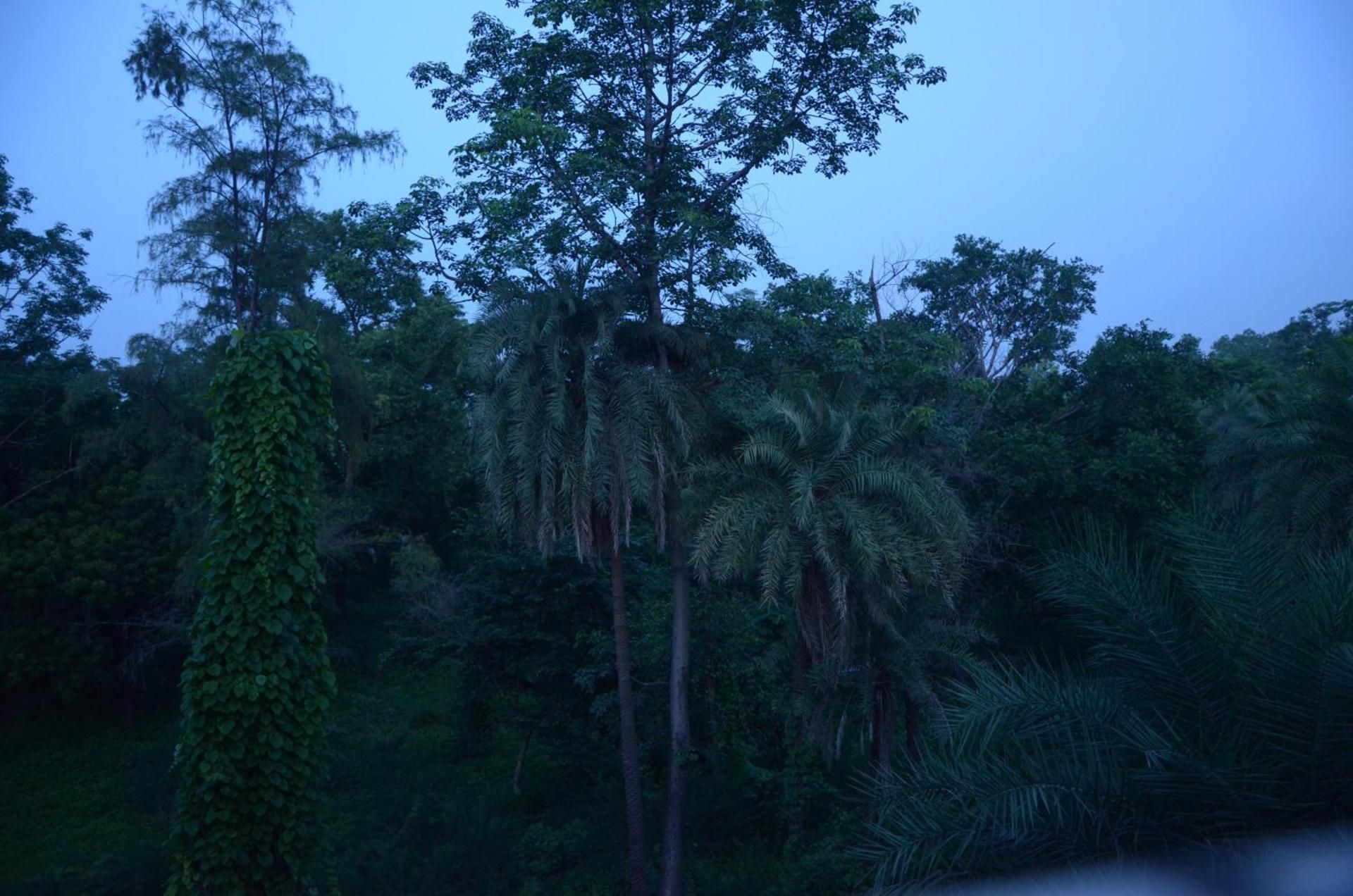 surrounding environment