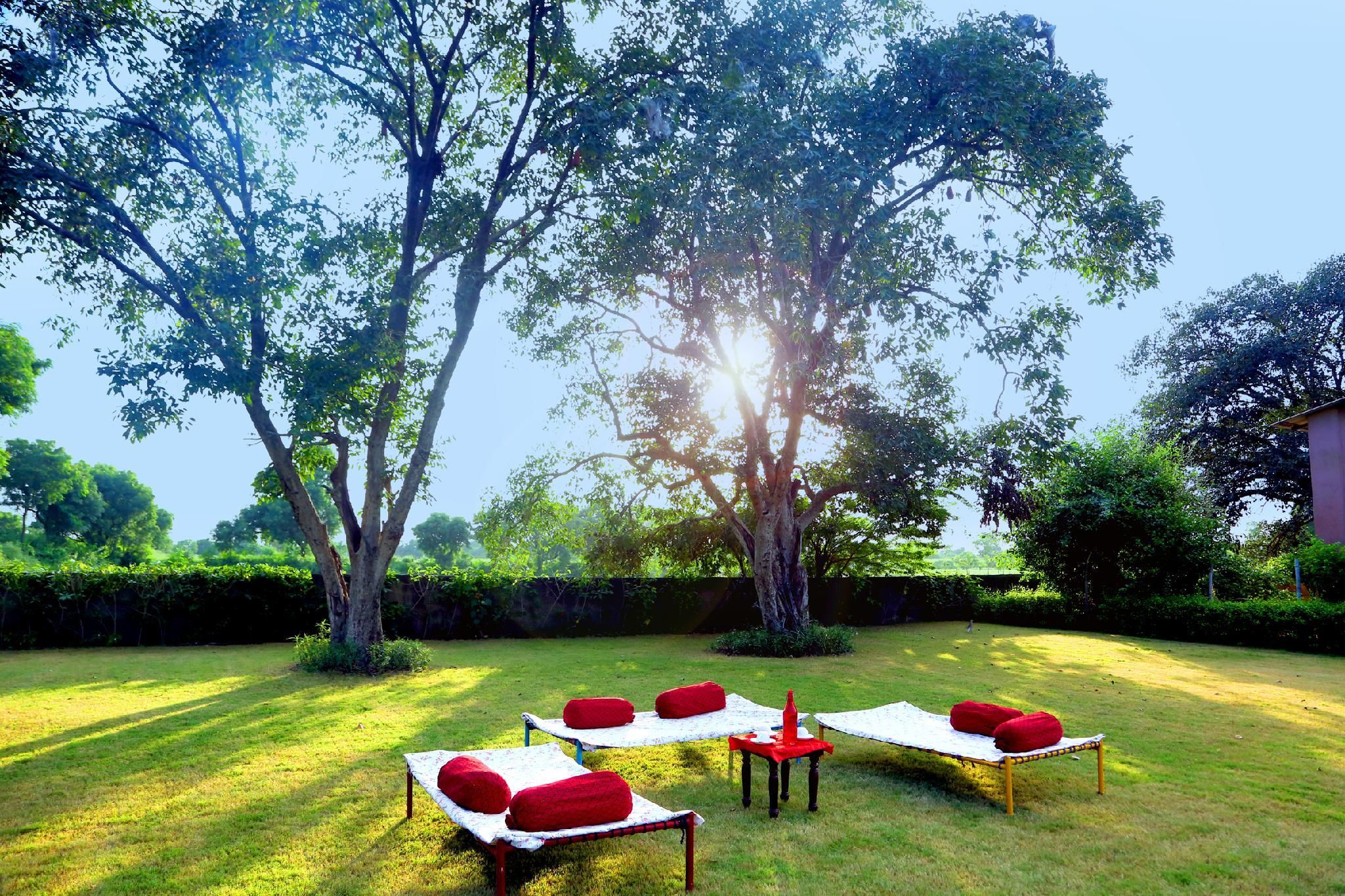 garden