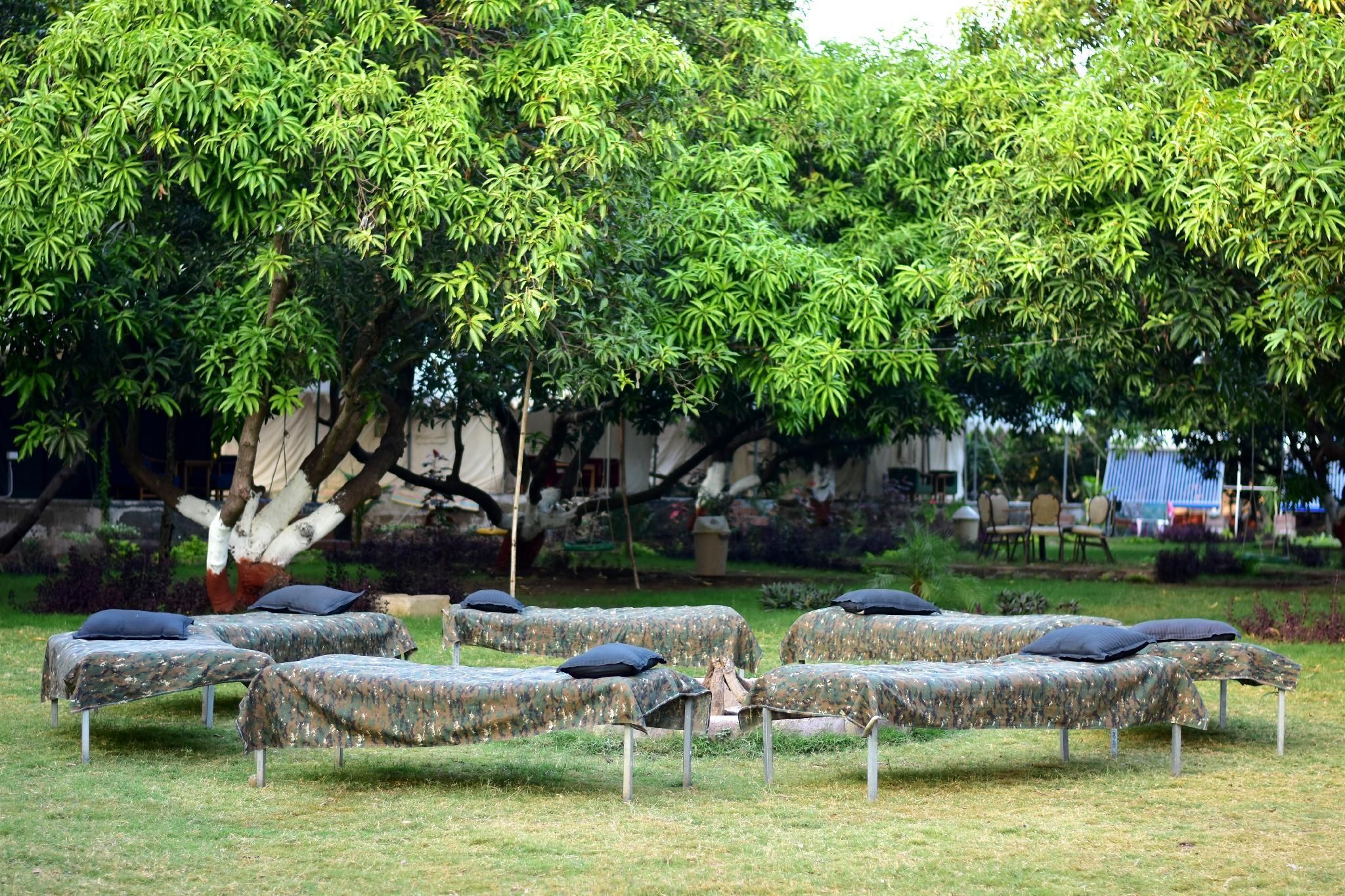 surrounding environment