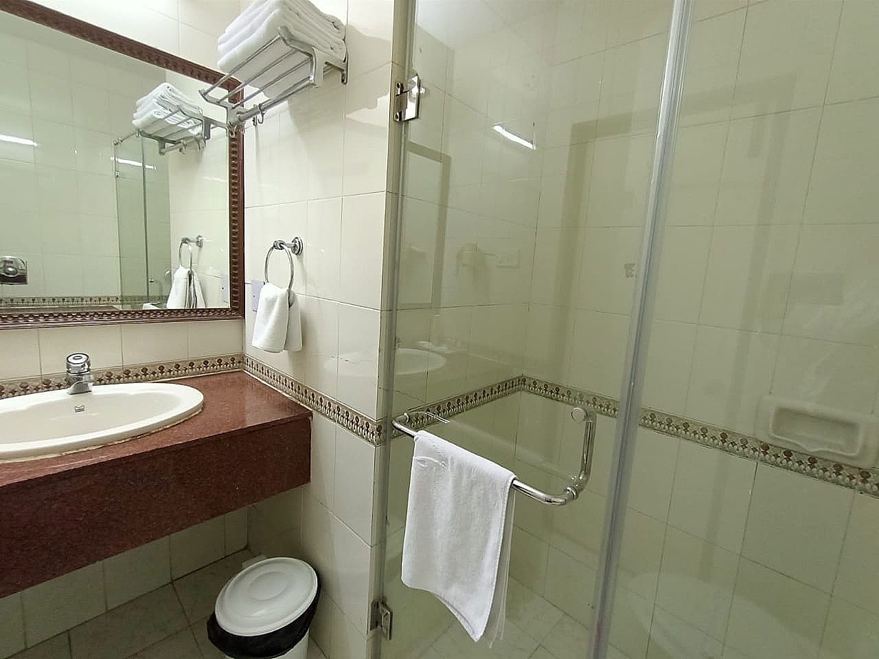 Hotel Shivalikview Standard Room  14