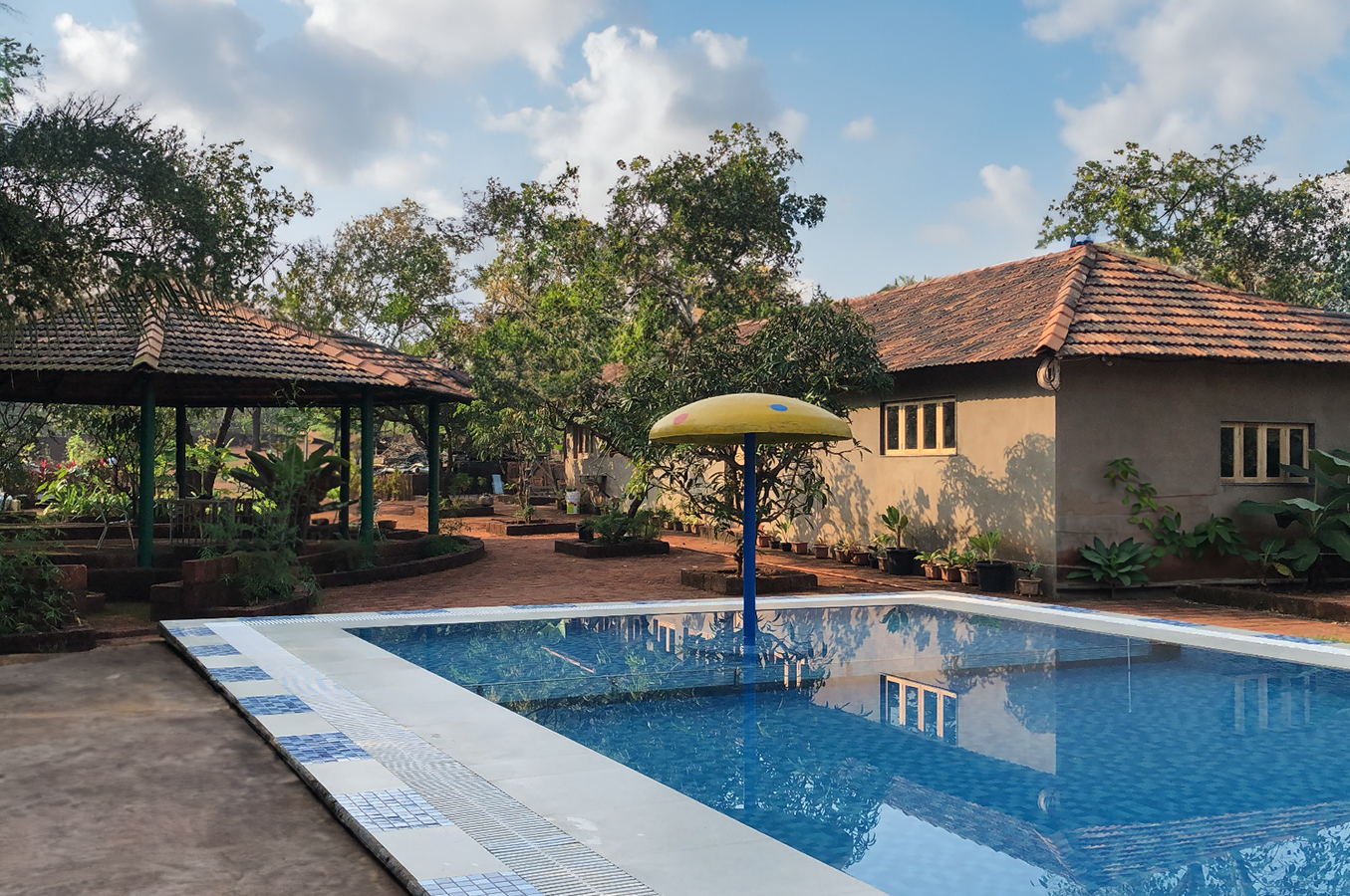 swimming pool [outdoor]