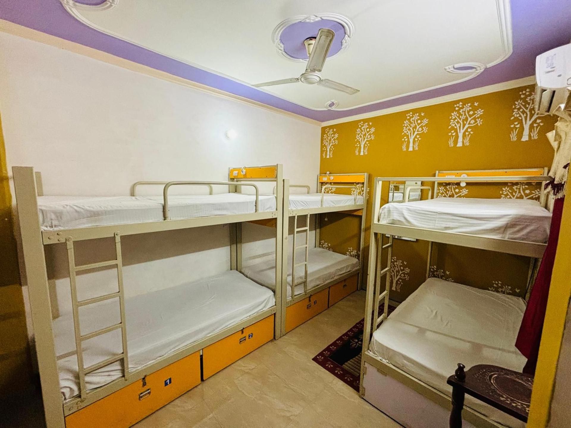 Standard 6 Bed Dormitory