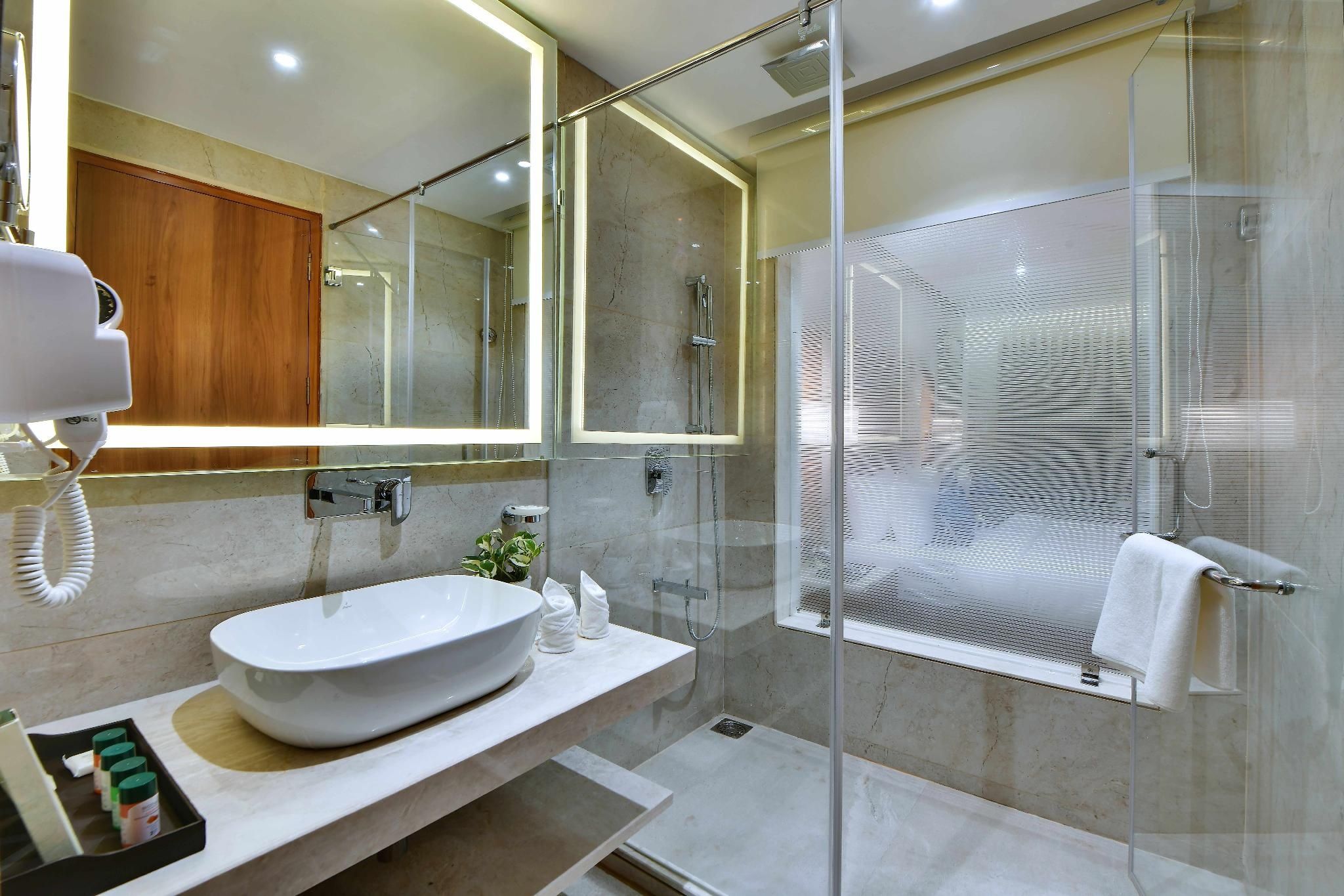 The Fern Residency, Ajmer Winter Green Premium 3