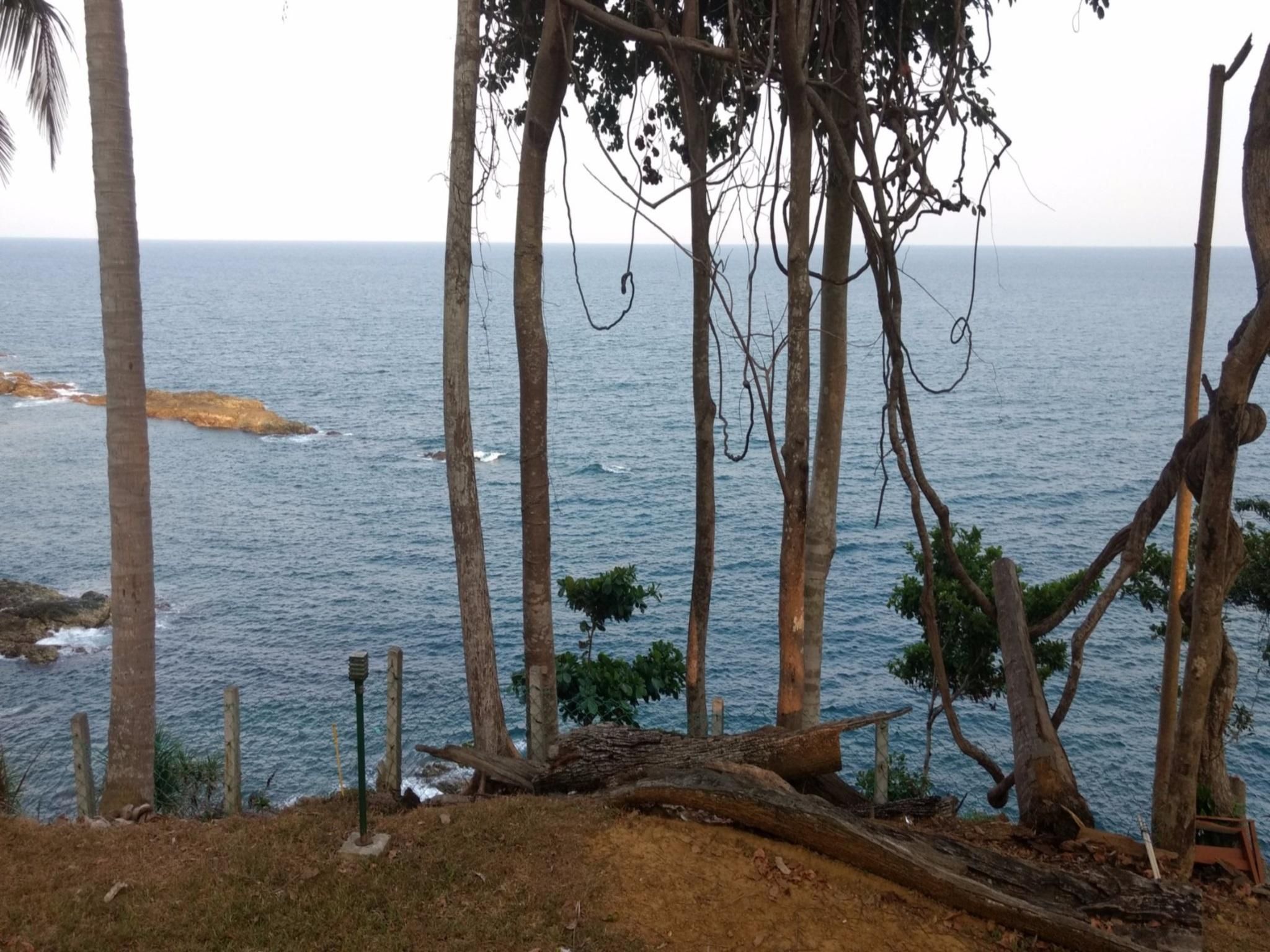 Surrounding environment