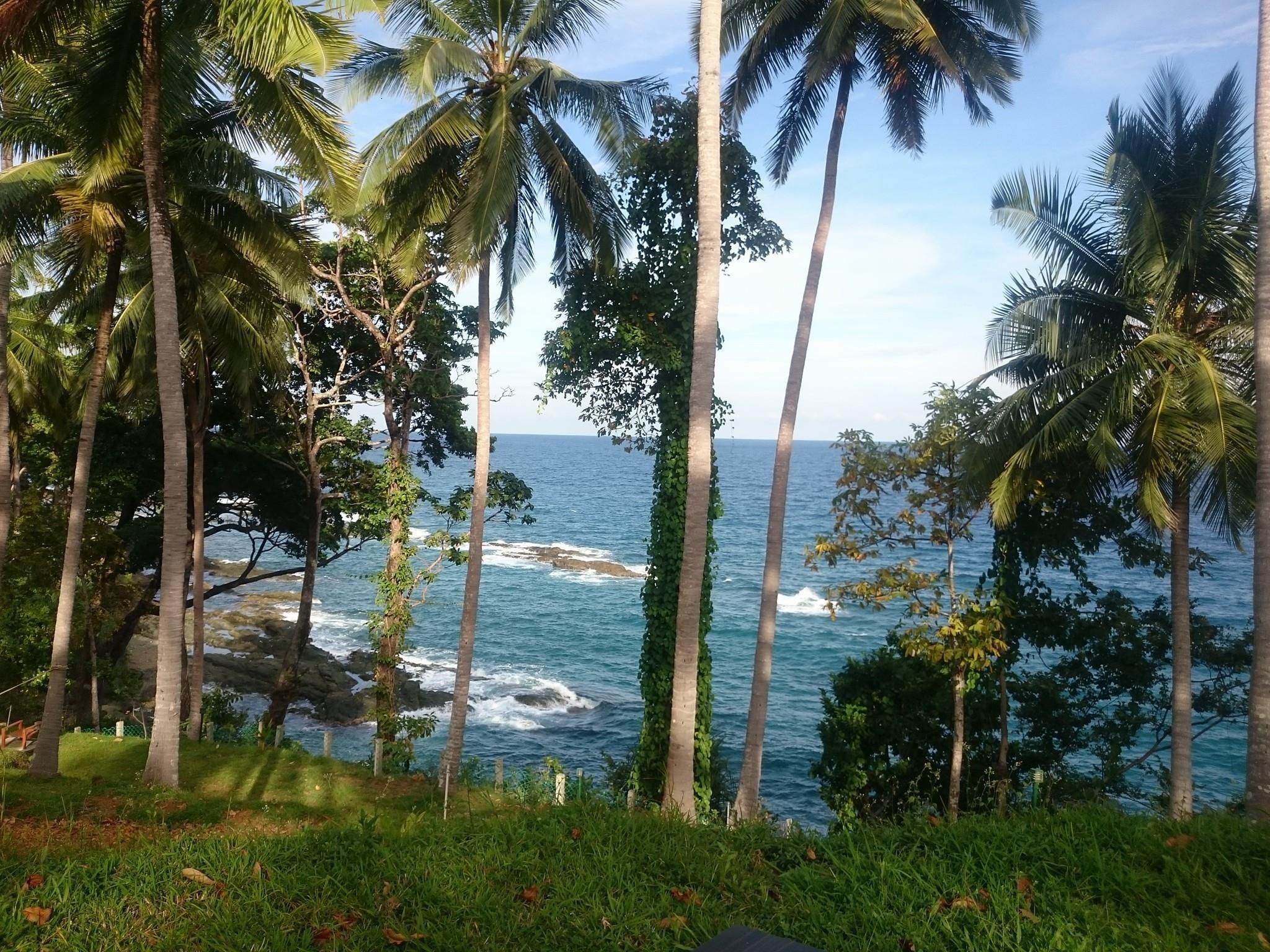 Surrounding environment