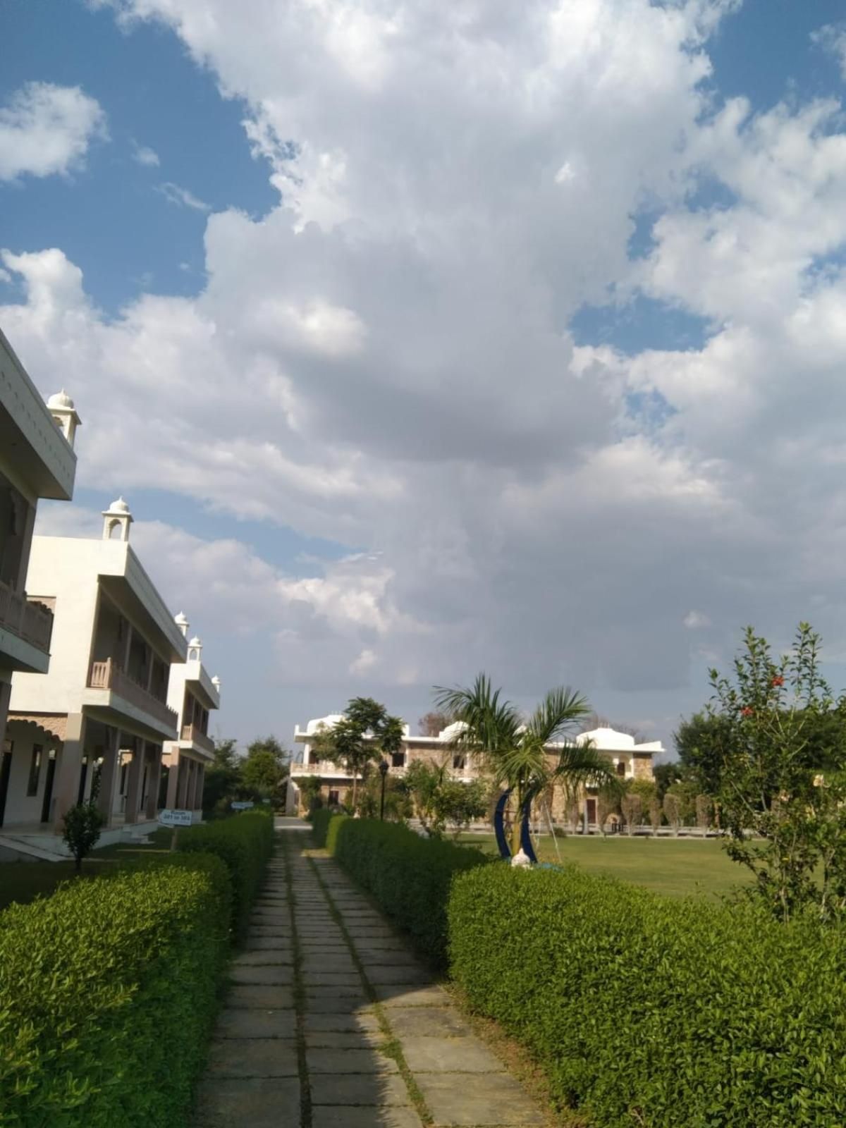 View