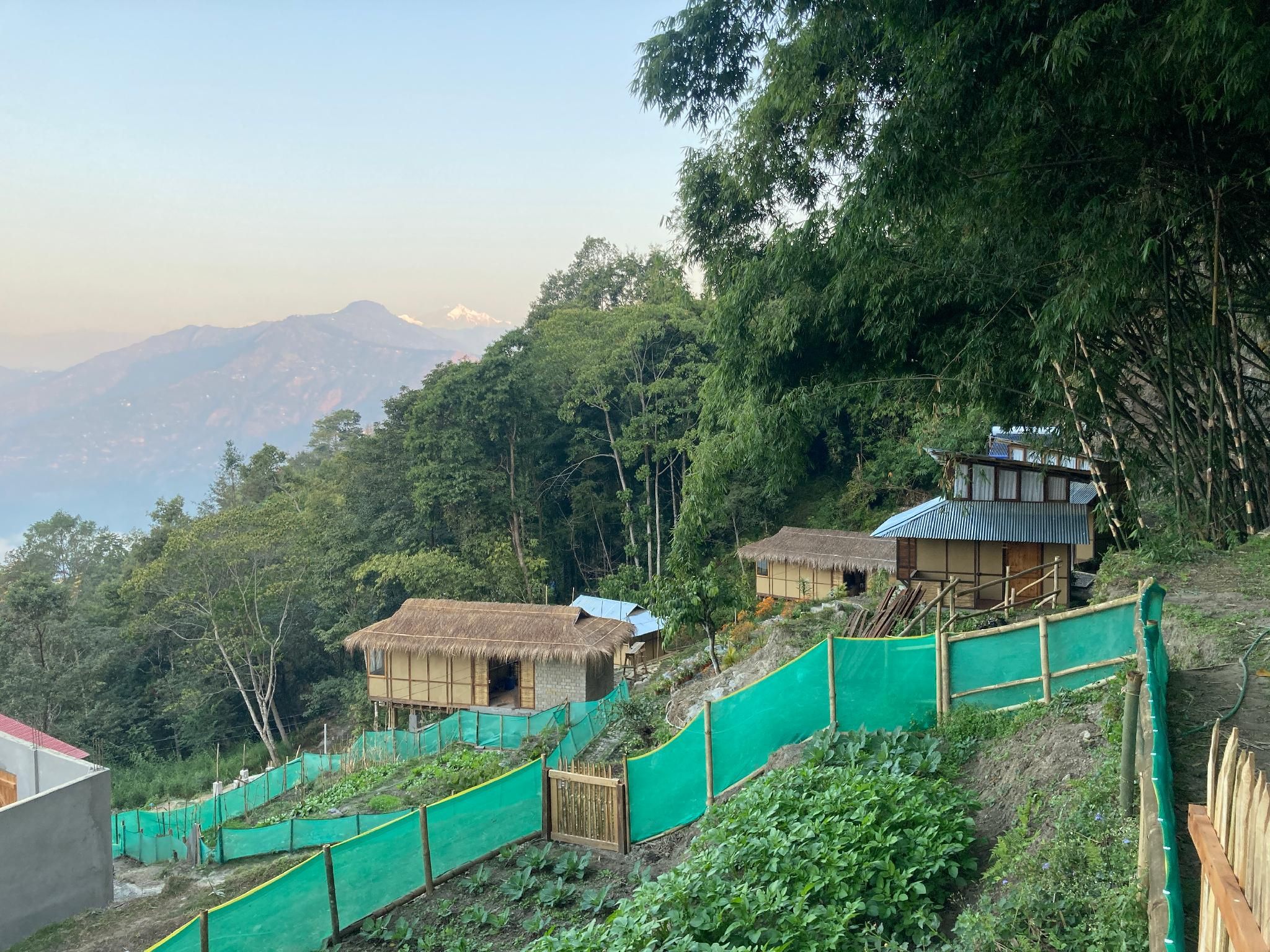 garden