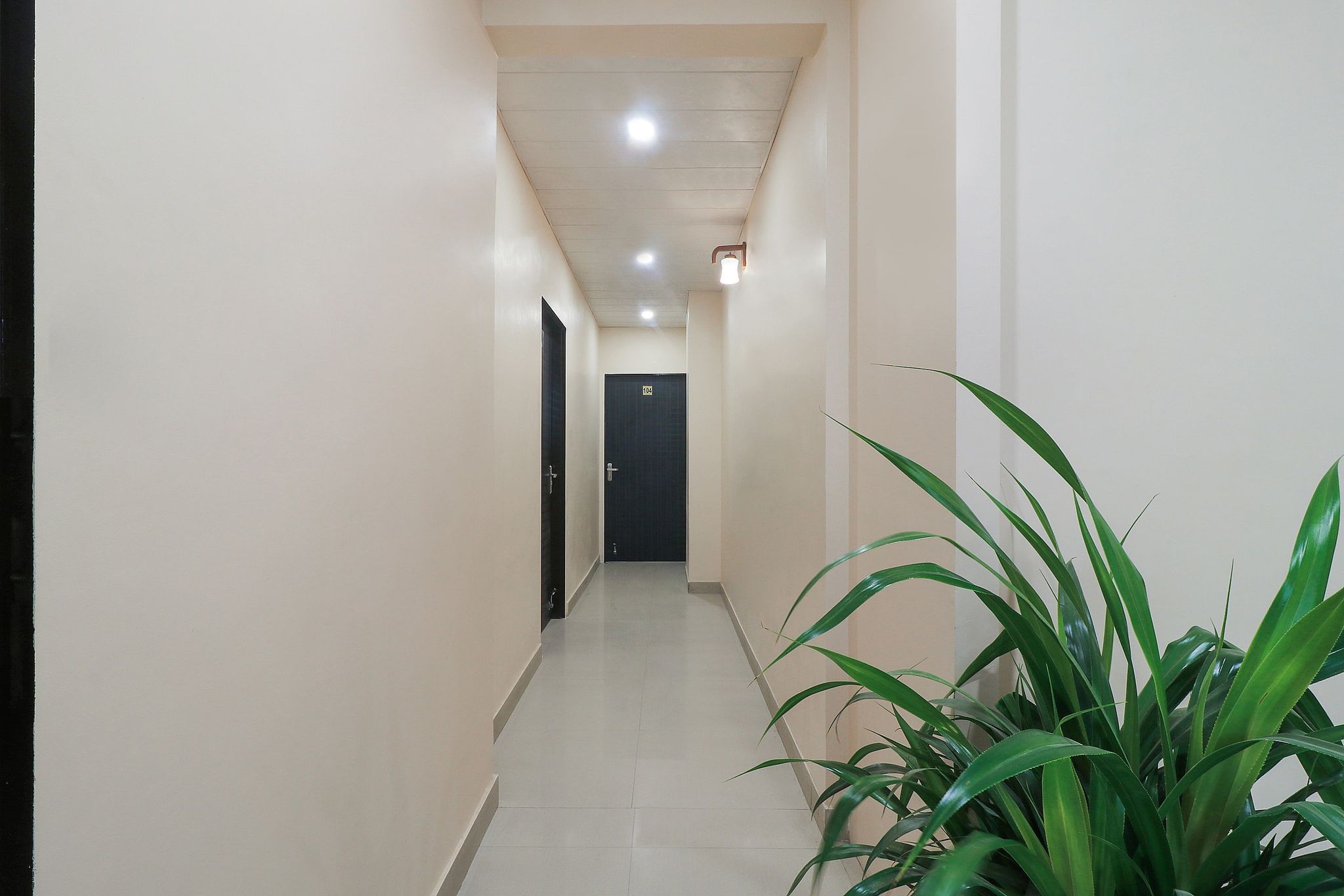 Hotel O focus elite