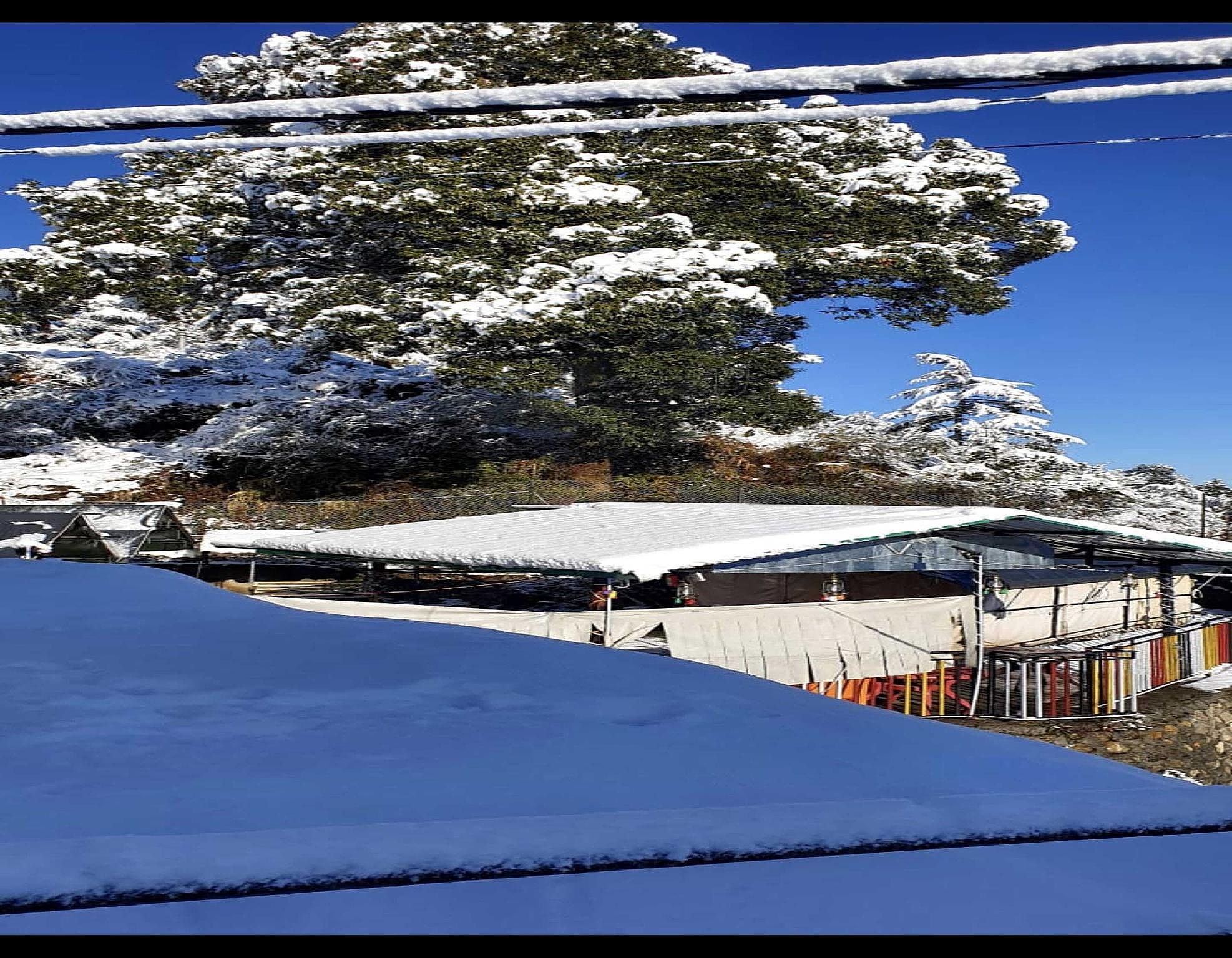 Surrounding environment