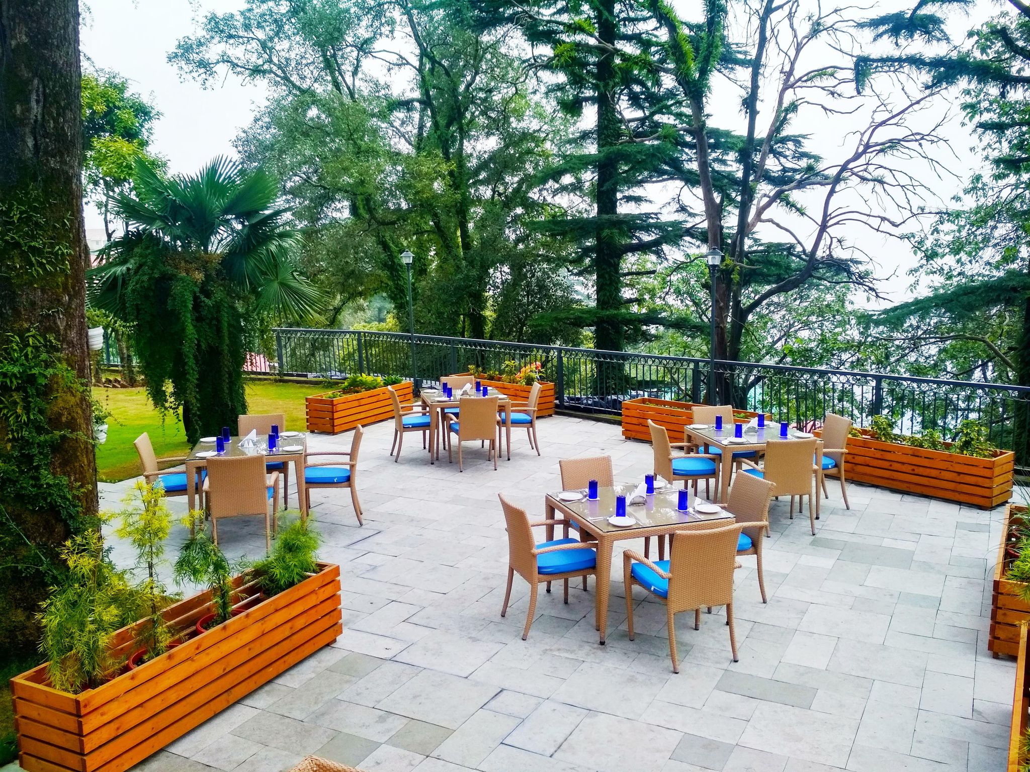 Food & Dining