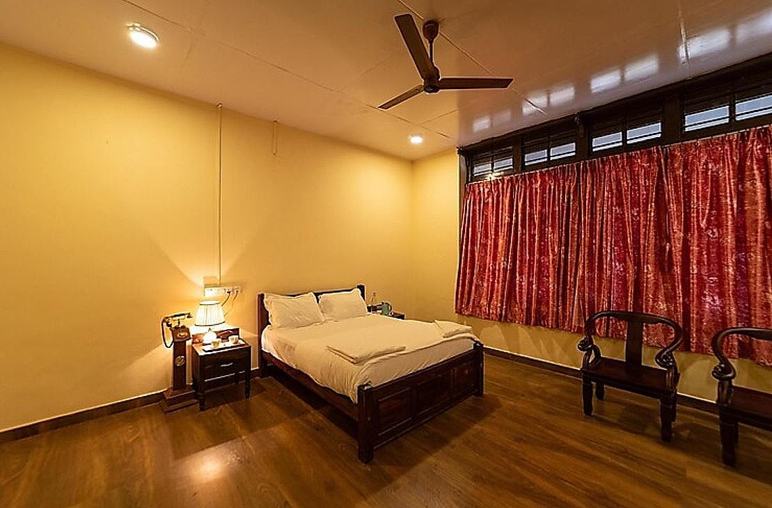 RUFOUS HORNBILL NEST