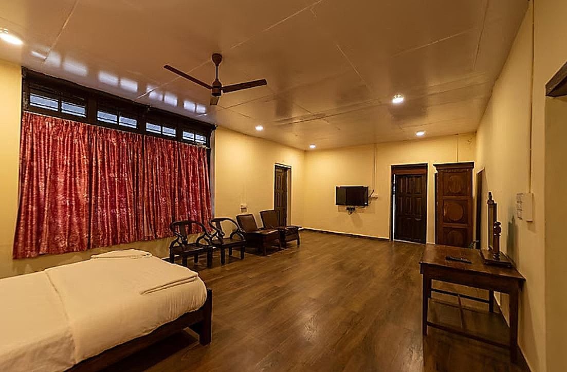 RUFOUS HORNBILL NEST