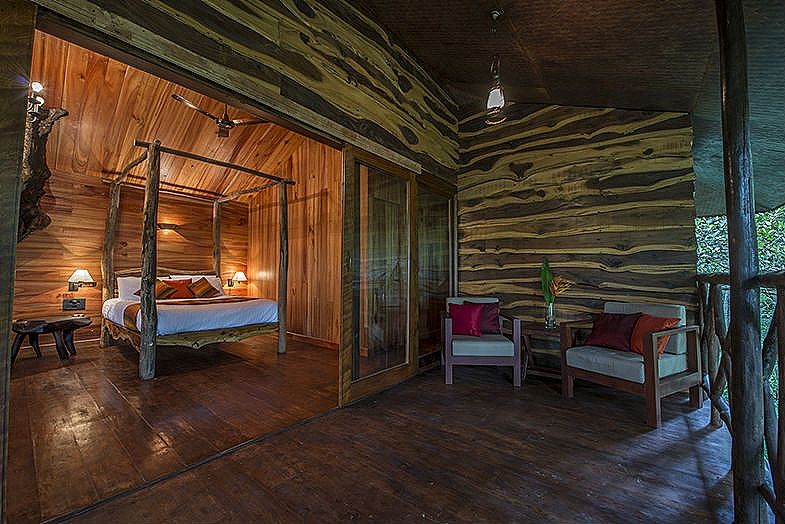 Pepper Trail Woodpecker Tree House 2