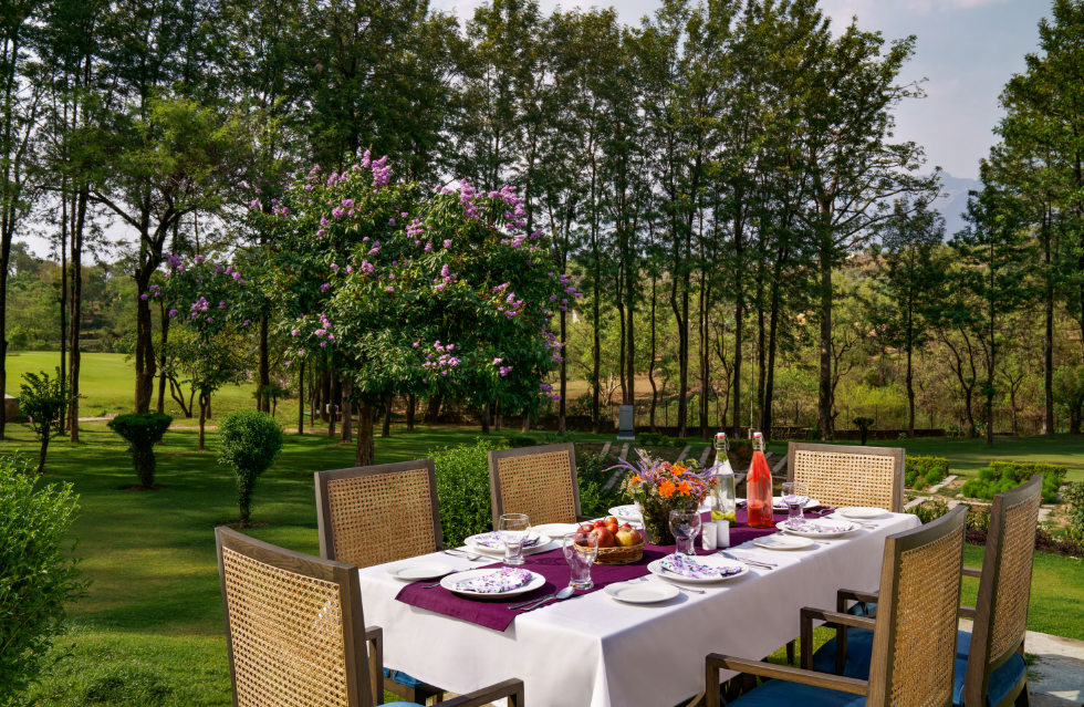 Food & Dining