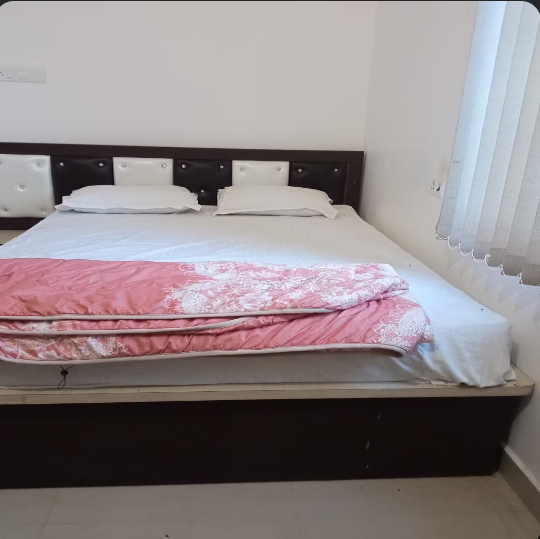 Hotel Vishal Buxar Deluxe AC Room 2