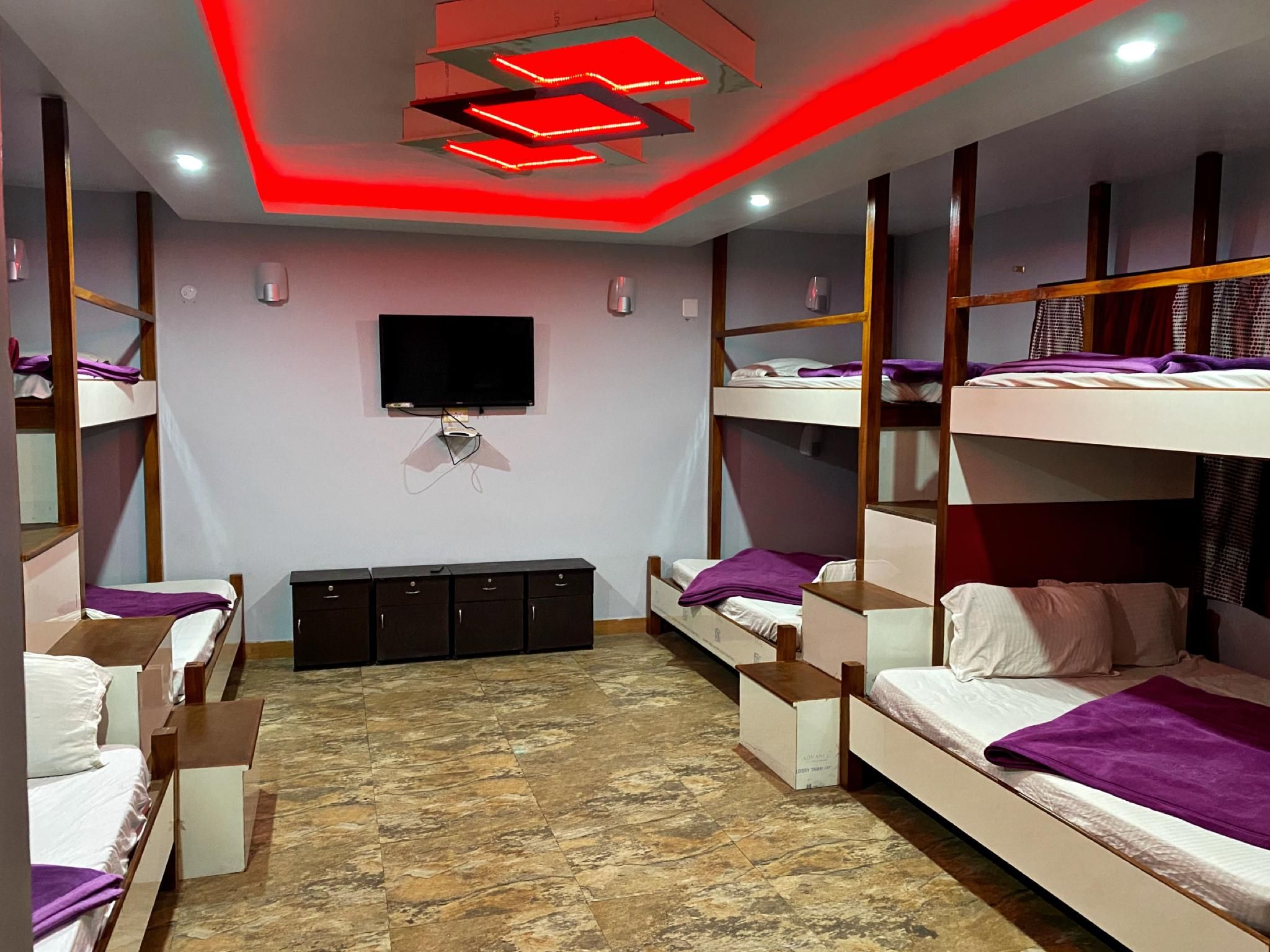 Bunk Bed in 16-Bed Mixed Dormitory Room