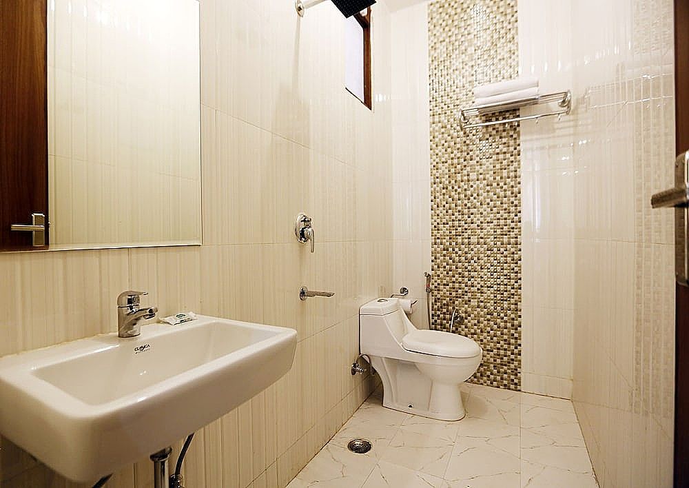 Hotel Chanakya Inn Classic Double Room 10