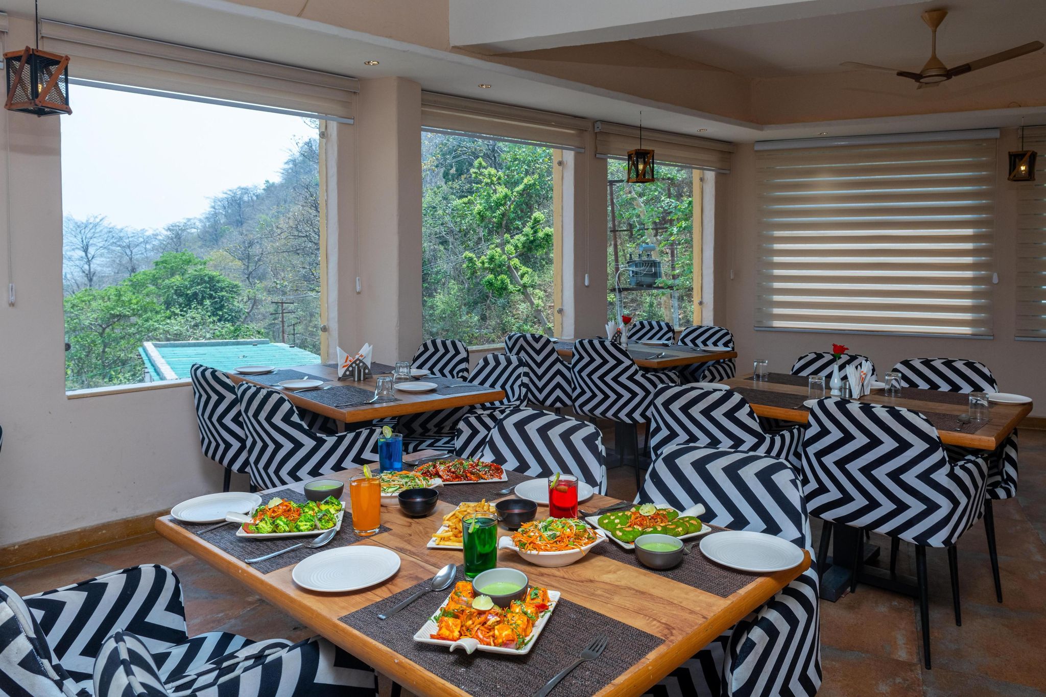 image_4292059_9631b416-796d-4225-99ce-b231264ce6e1