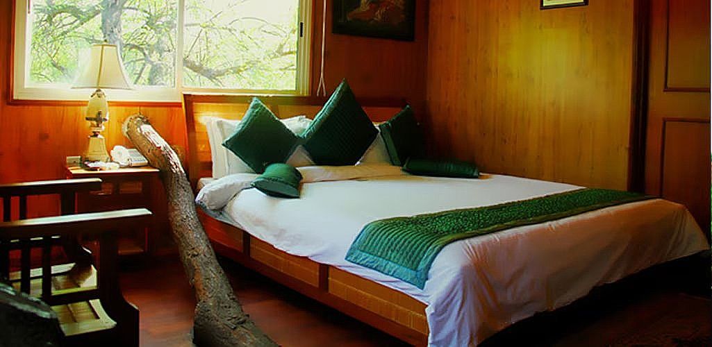 Tree House Resort, Jaipur Air House Premium 6