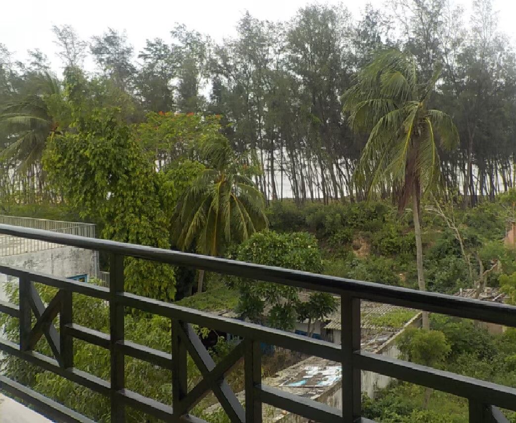 Hotel View