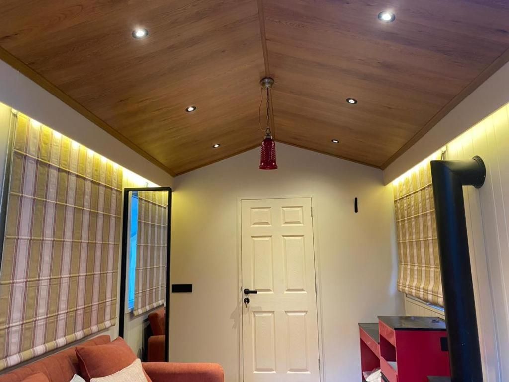 image_4292207_0fc14e44-f480-4be2-adc7-e00dc8a58c00