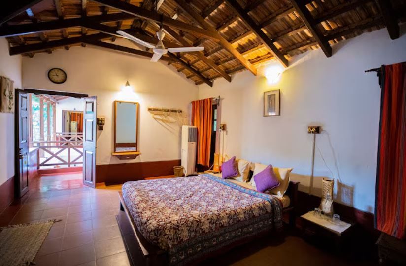 image_4292610_ffbdcc79-5467-4b4b-9e90-06d90f6d4a40