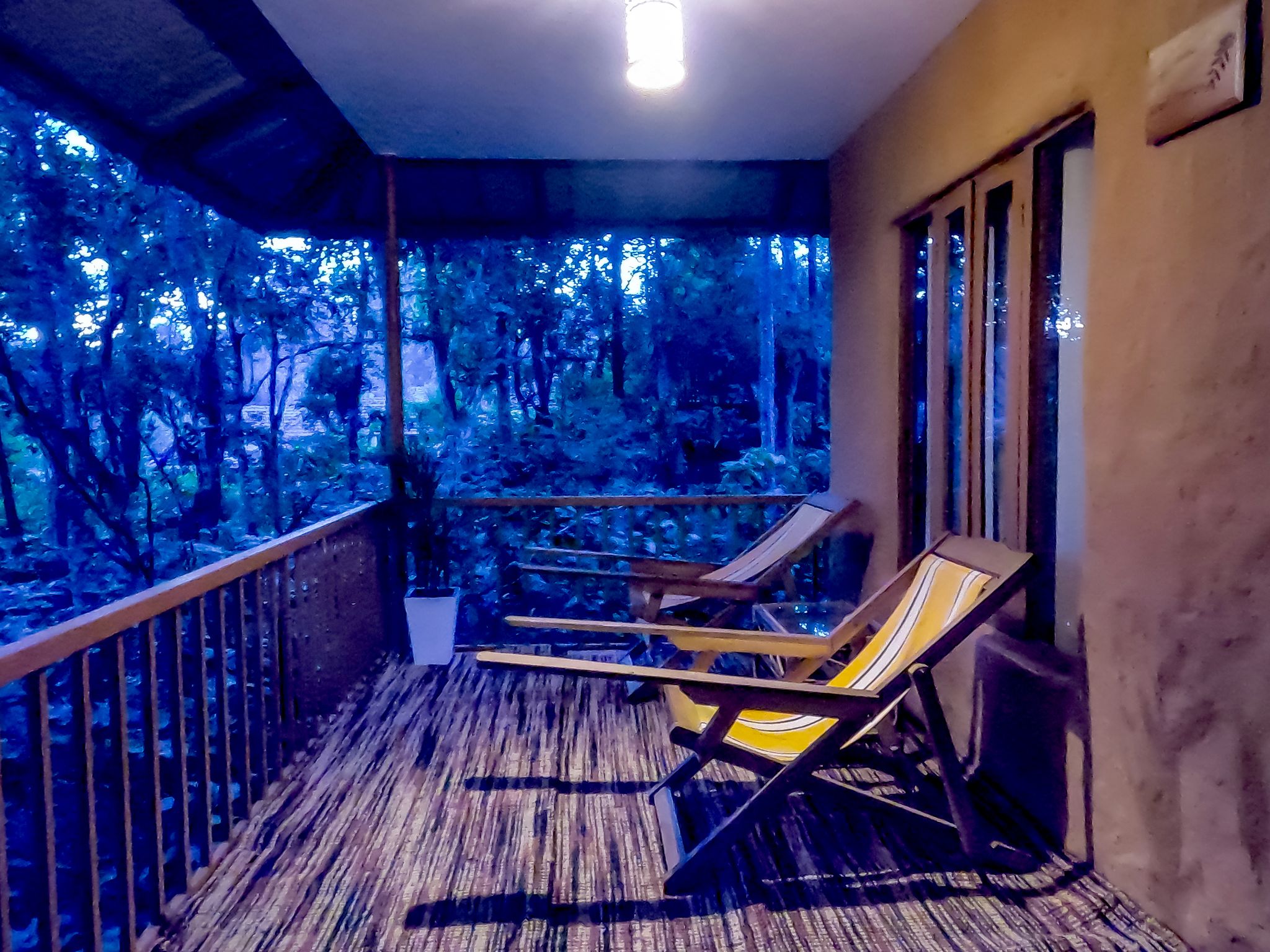  Canopy Hut