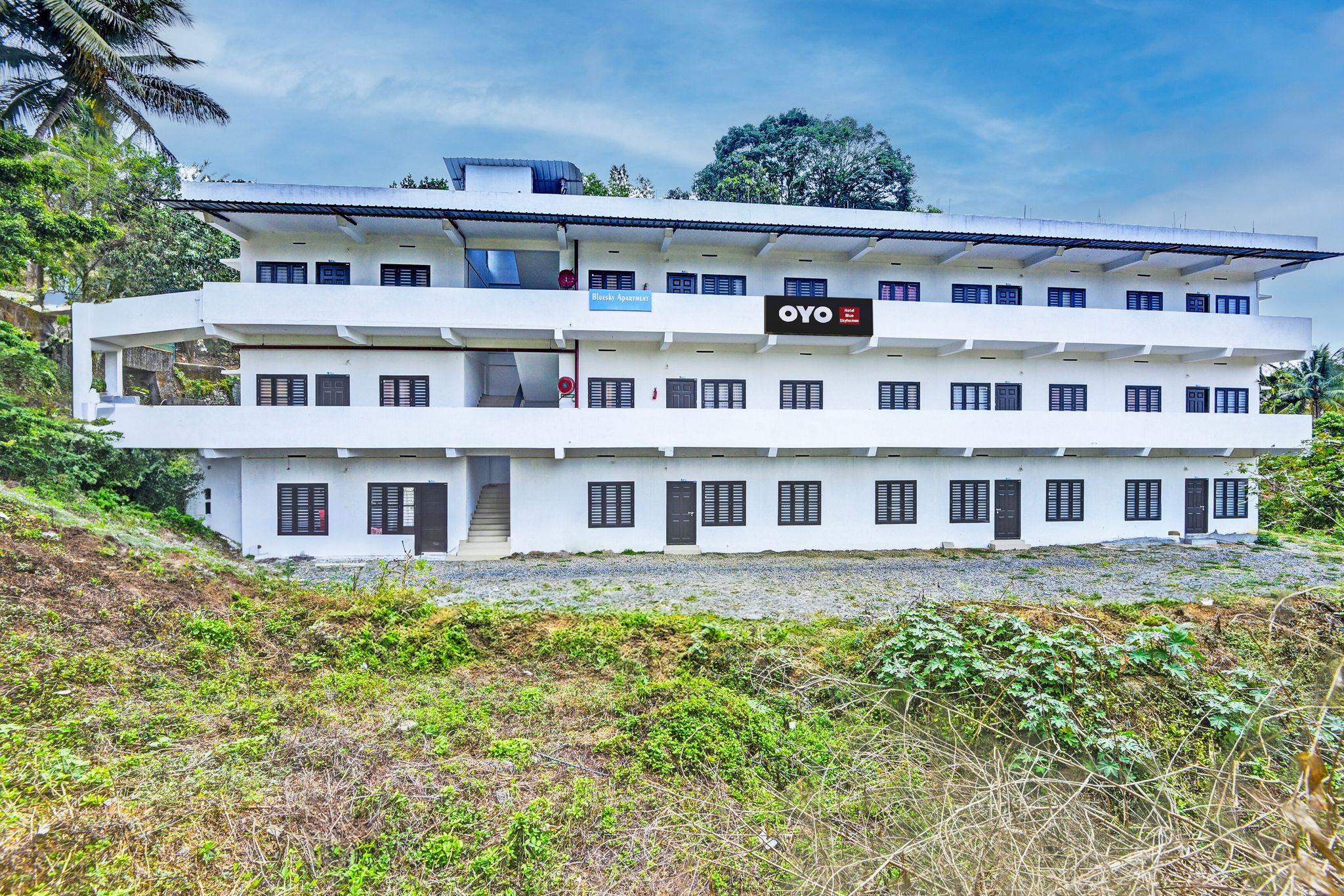 Primary Image