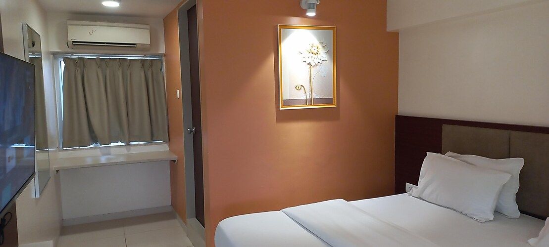 Haldi Hotel Standard AC Room 3