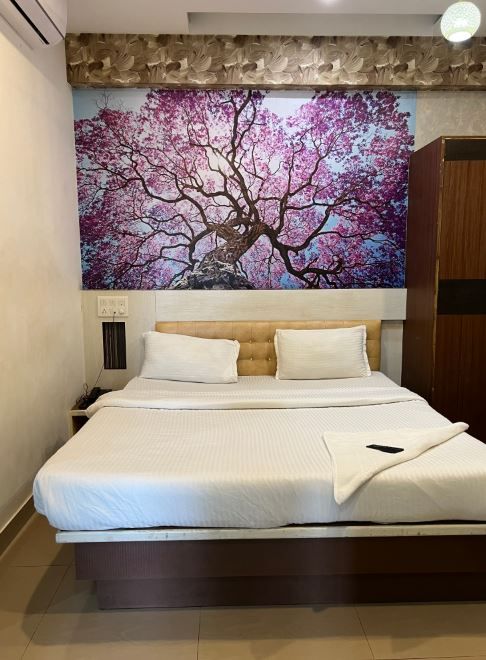 Vaishali comforts Standard Non AC Room 5