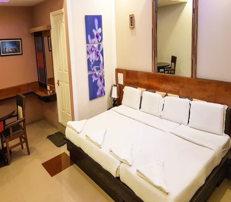 Vaishali comforts Standard Non AC Room 7