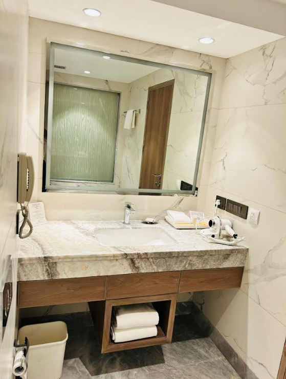 Jaypee Siddharth Deluxe Room  5