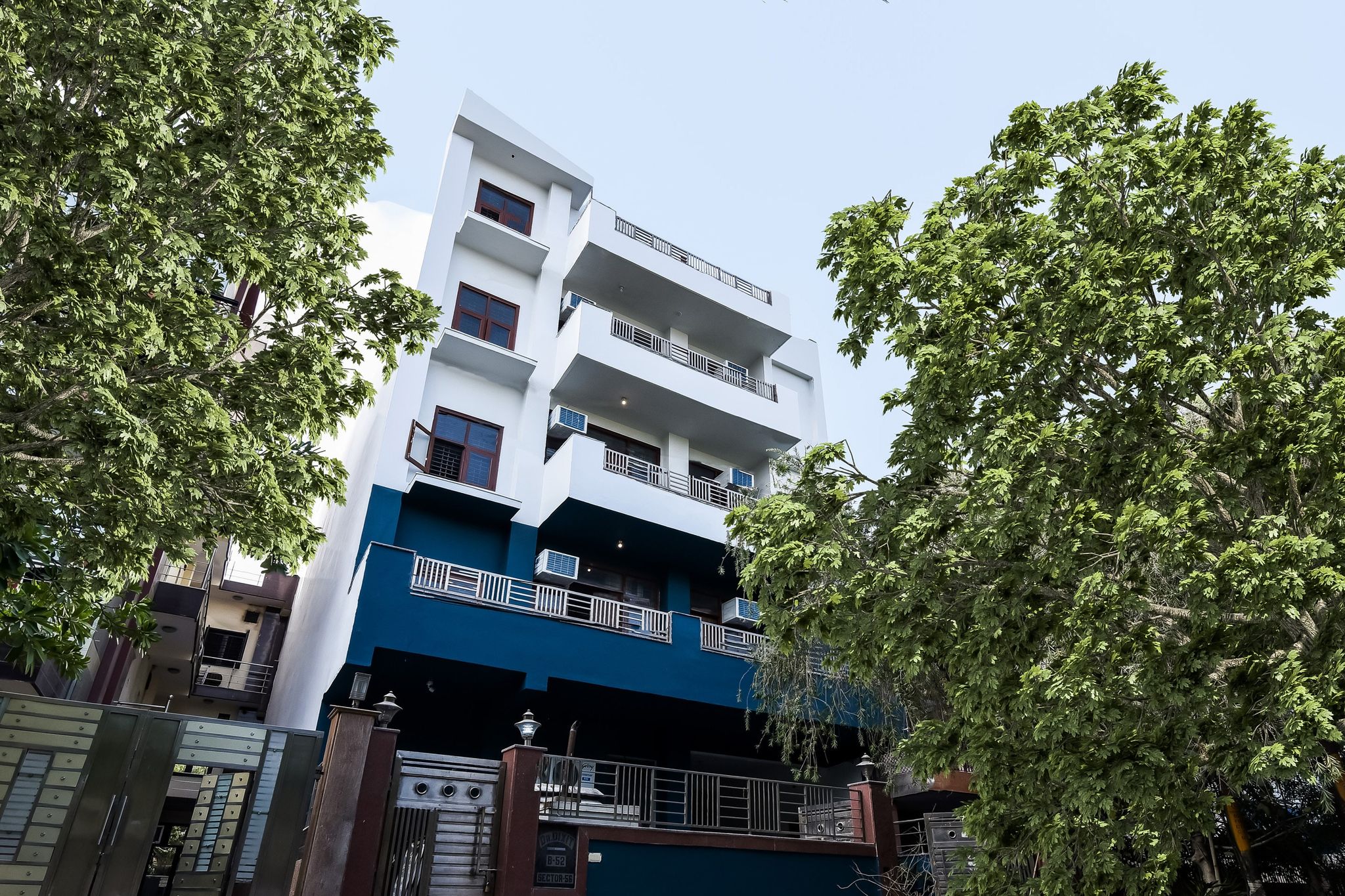 Main Image