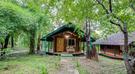 Sakrebyle Elephant Camp by Jungle Lodges
