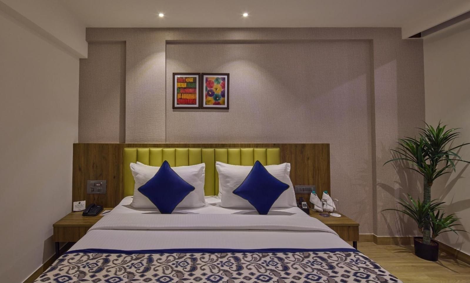 Deluxe room - 1 Double Bed
