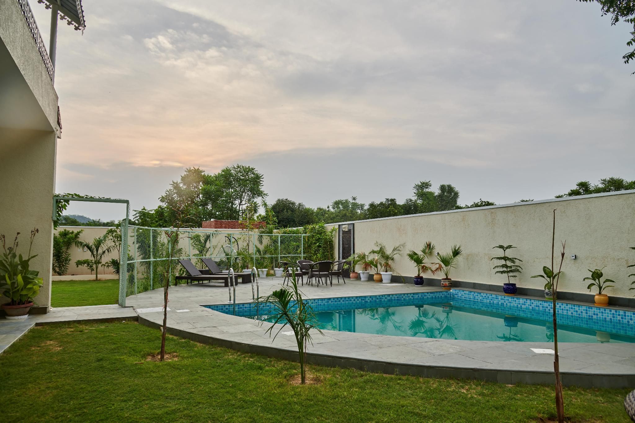 Swimming pool [outdoor]