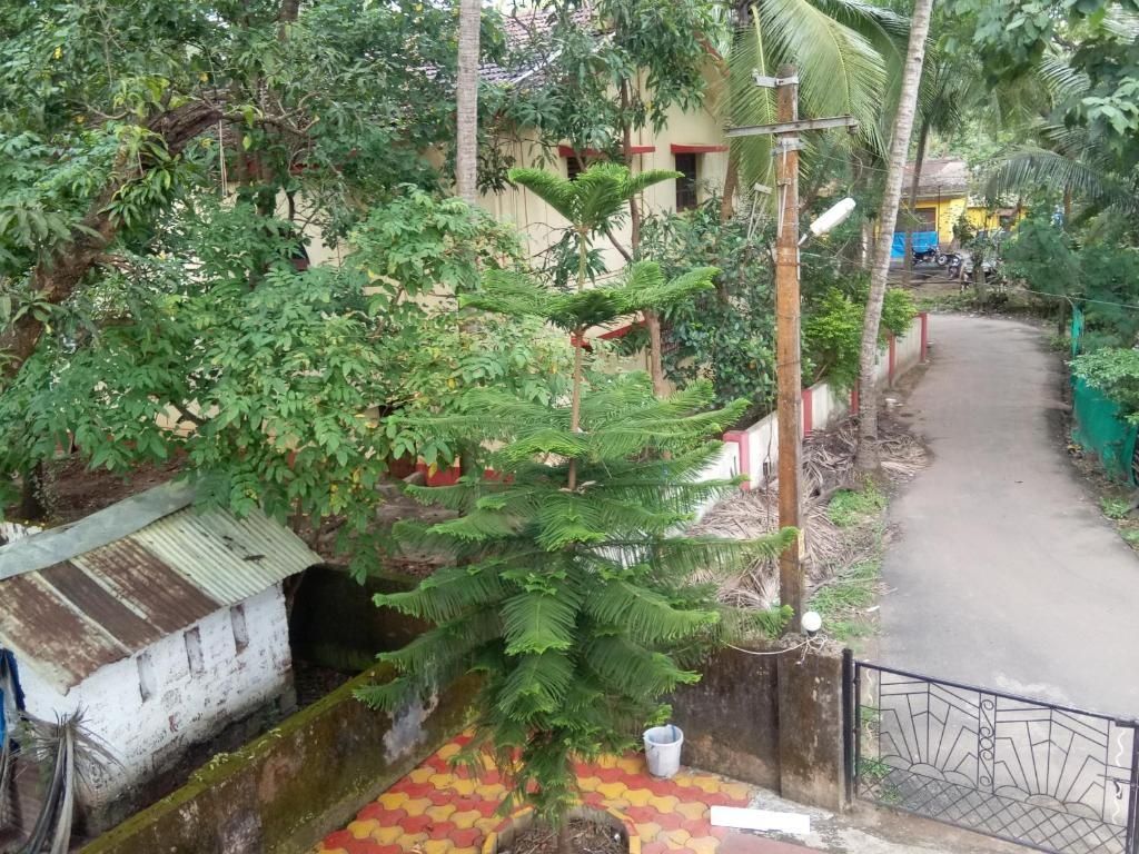 Side Image 2