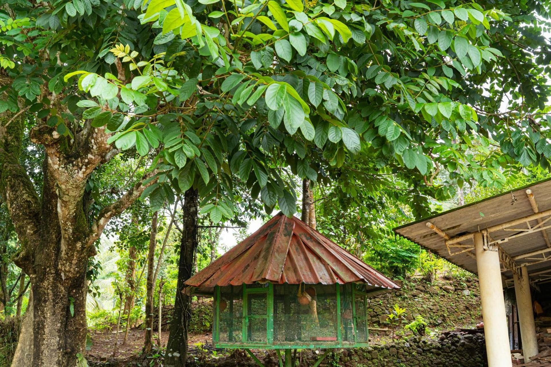 Surrounding environment