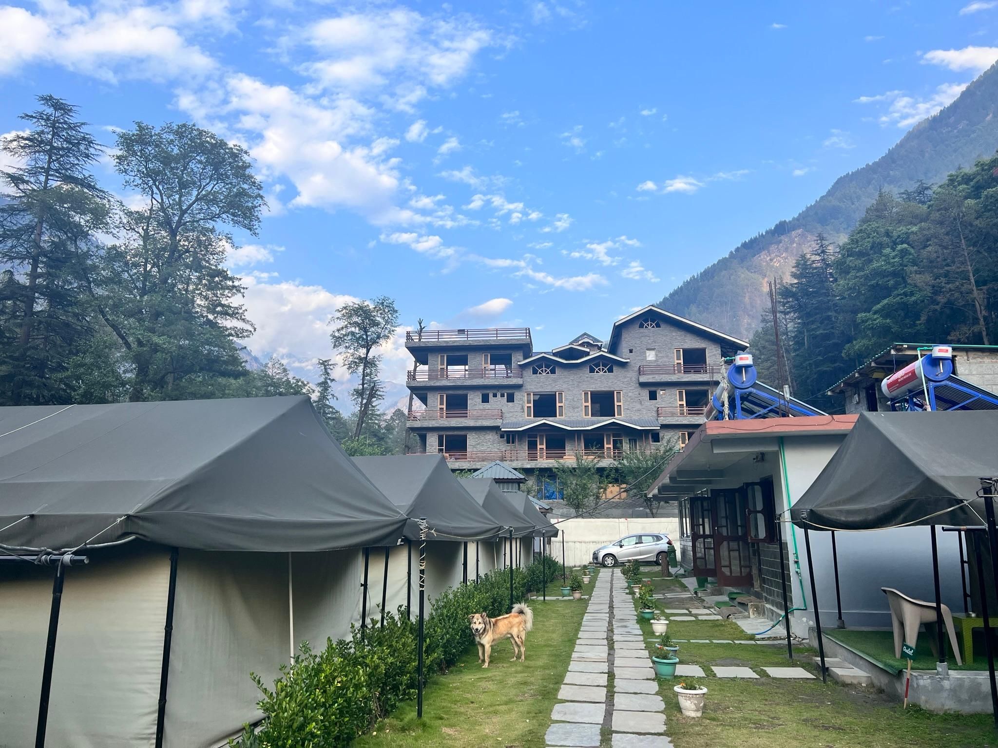 North Deodar Camps, Kasol 