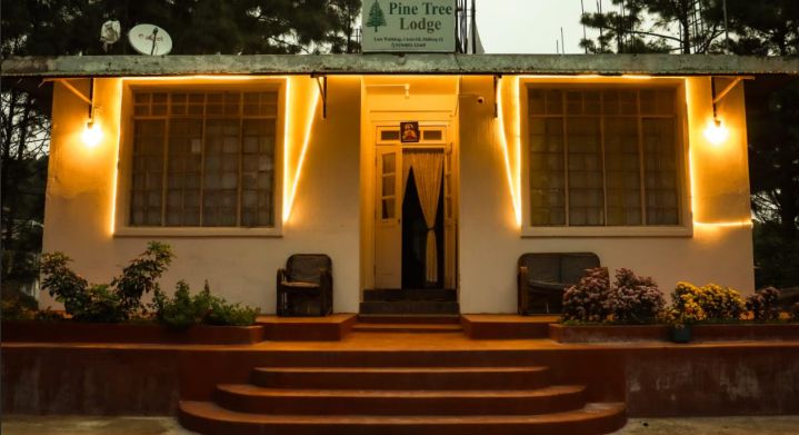 Pine Tree Lodge