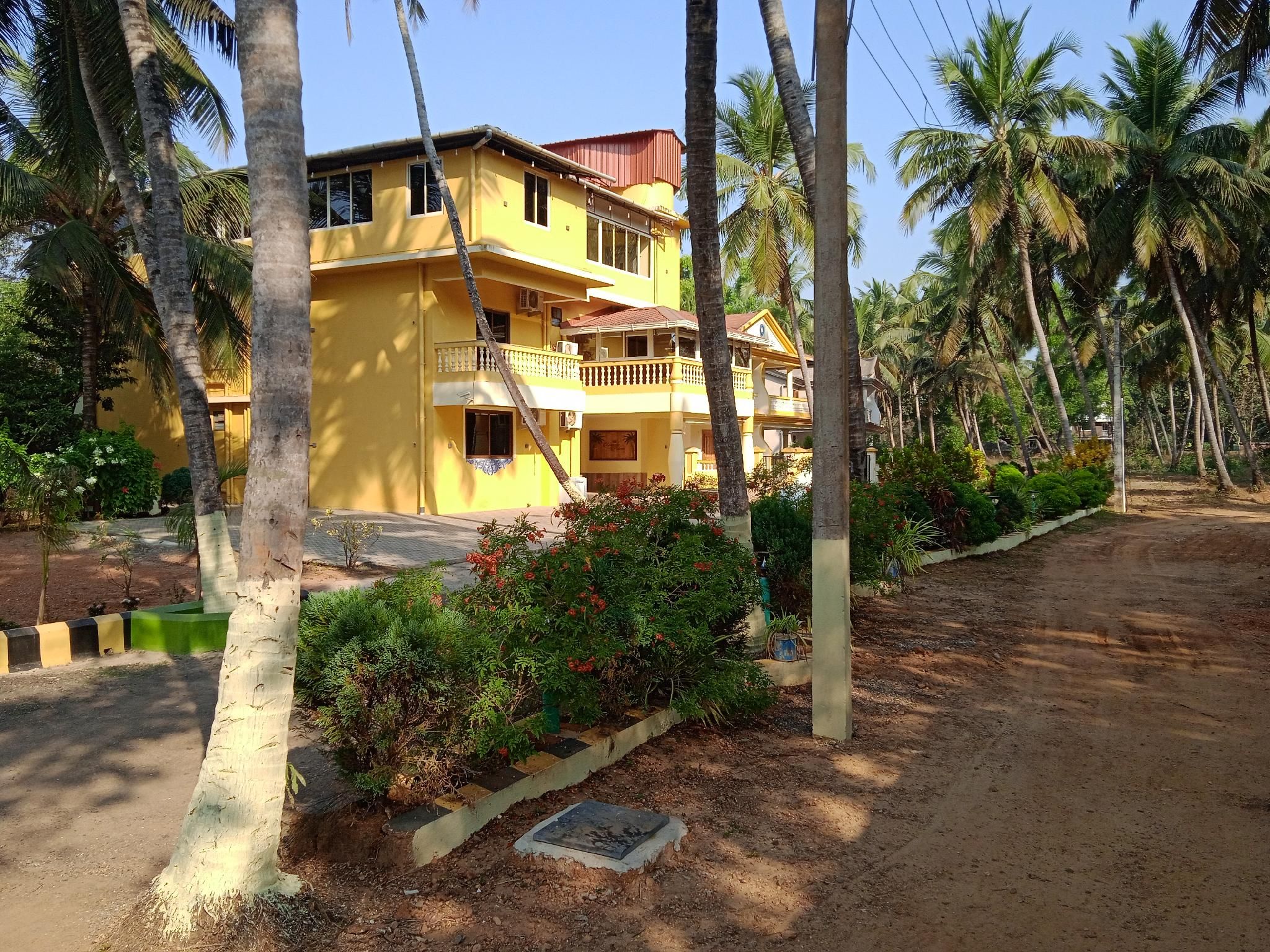 Majestic Palms