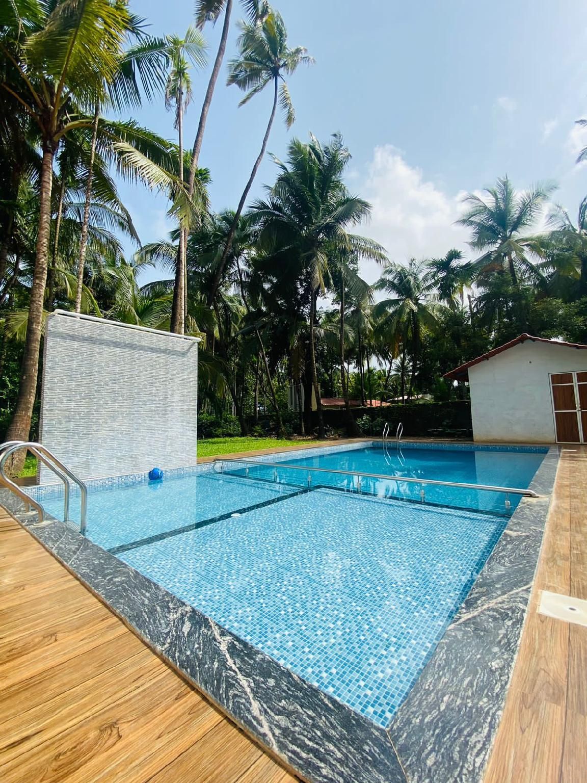 Swimming pool [outdoor]