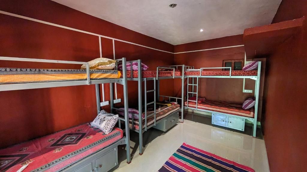 Bed in 4 Bed Mixed AC Dormitory Room with Ensuite Bathroom