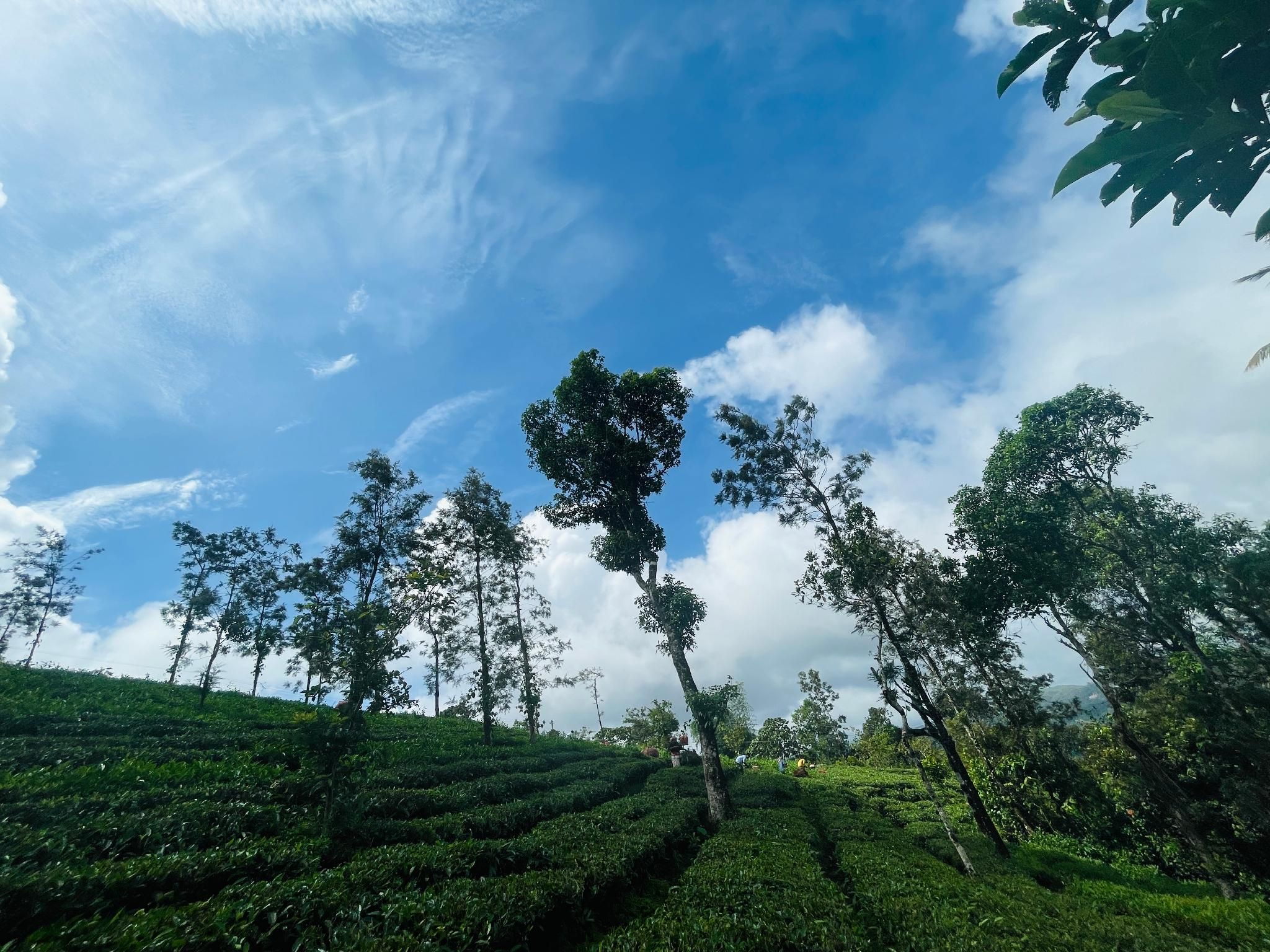 Surrounding environment