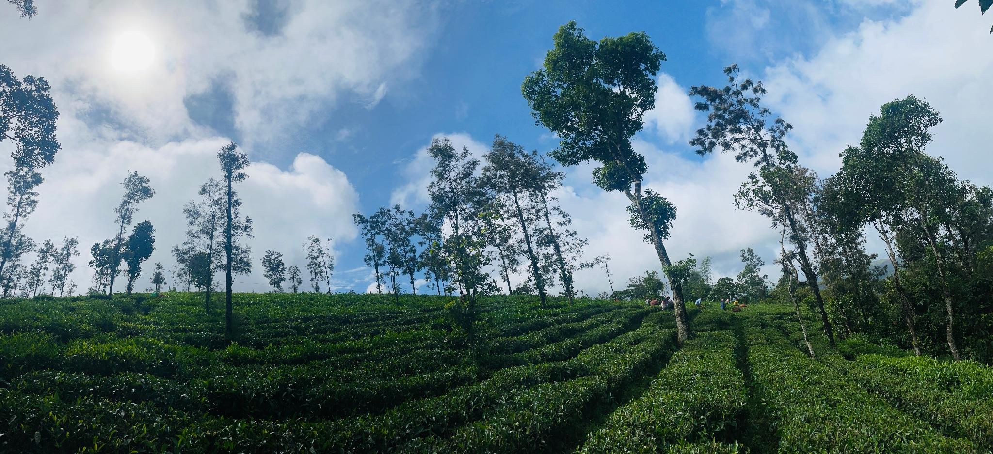 Surrounding environment