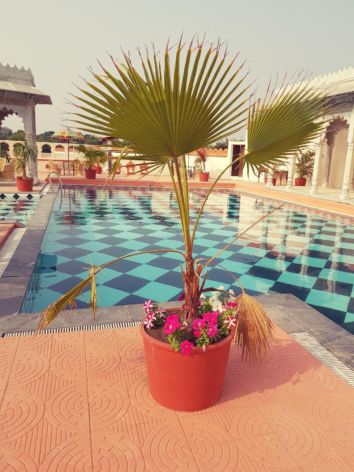 Swimming pool [outdoor]