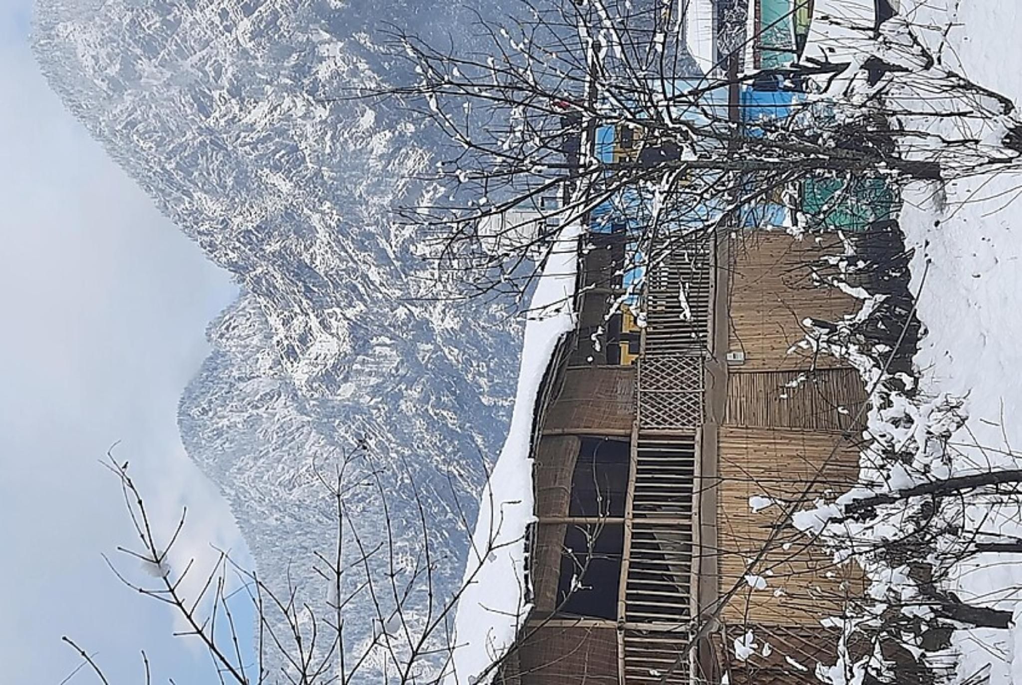 Goroomgo Kasol Huts Kullu