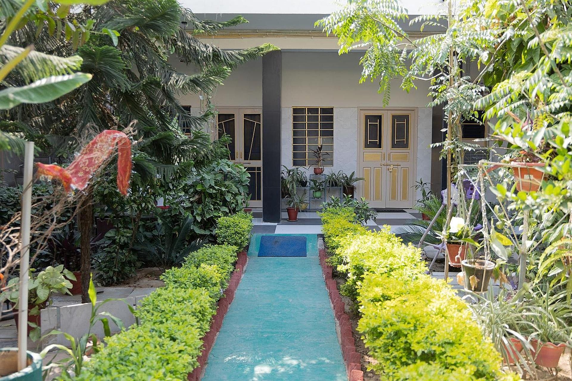 Garden